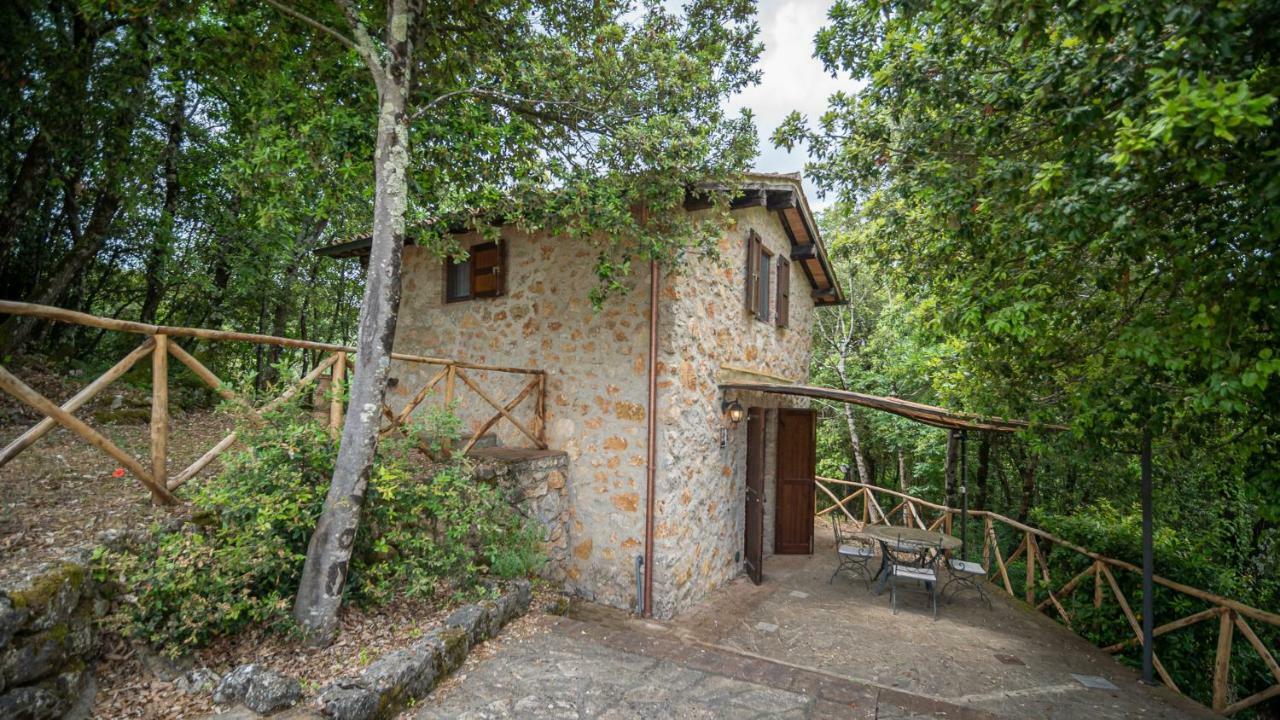 Poggio Al Palio Lejlighedshotel San Lorenzo a Merse Eksteriør billede