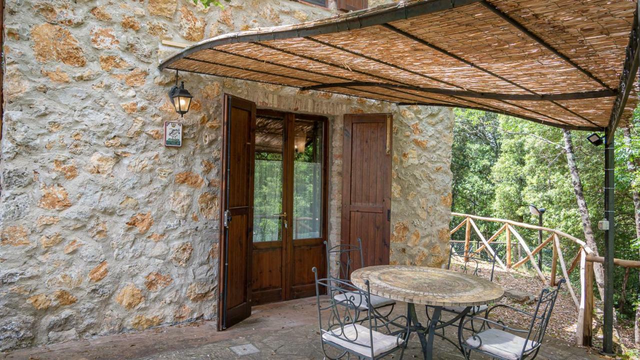 Poggio Al Palio Lejlighedshotel San Lorenzo a Merse Eksteriør billede