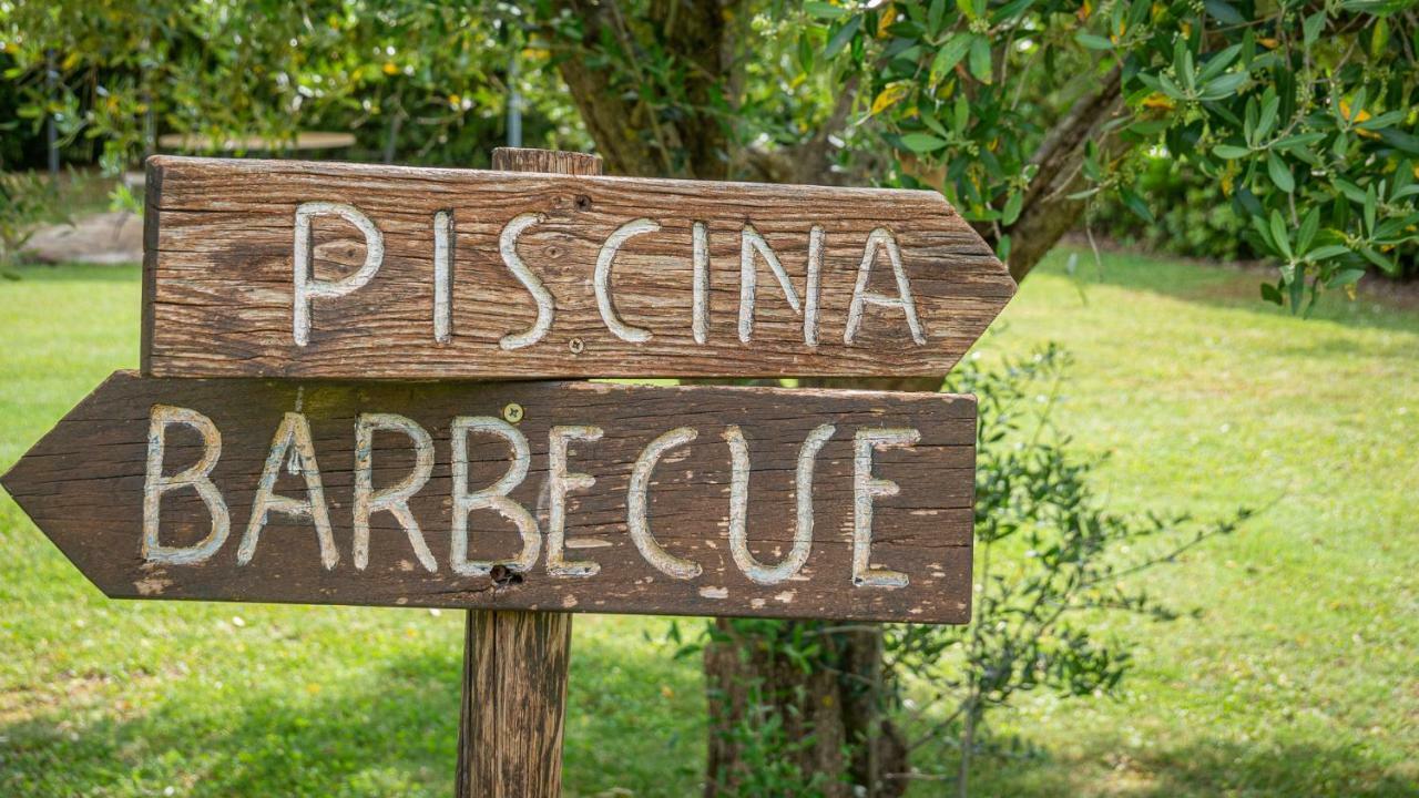 Poggio Al Palio Lejlighedshotel San Lorenzo a Merse Eksteriør billede