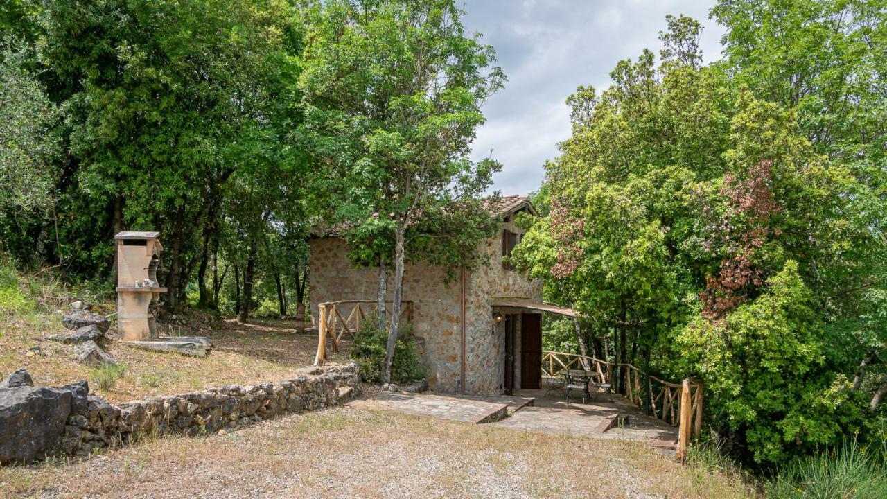 Poggio Al Palio Lejlighedshotel San Lorenzo a Merse Eksteriør billede